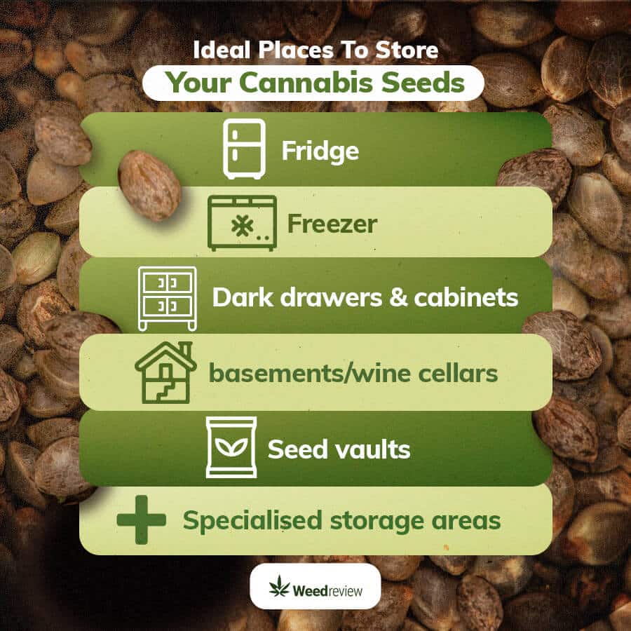 No frost fridge, drawers, and low humidity basements are ideal for storing weed seeds
