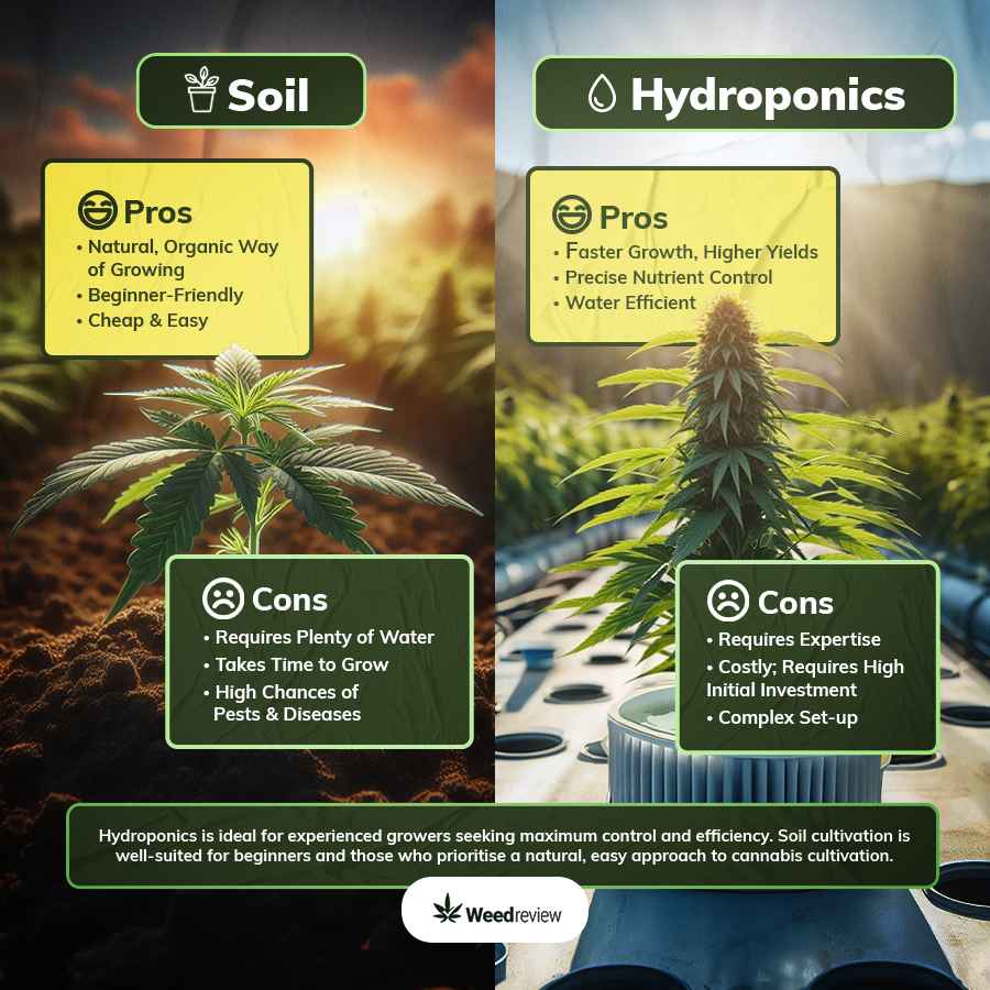 An infographic highlighting key features of hydroponic and soil mediums for growing cannabis.
