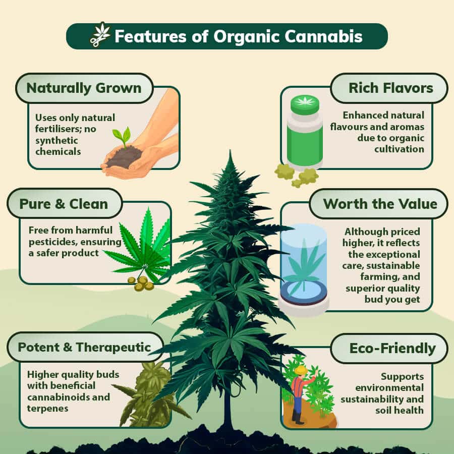 Features and qualities of organically grown marijuana.